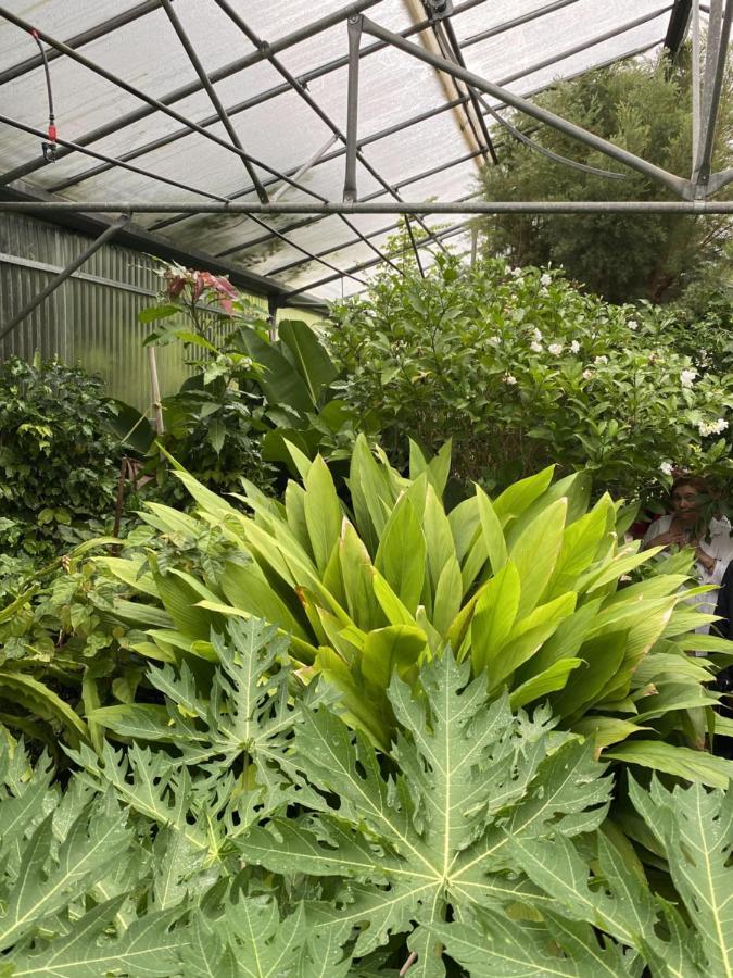 Spílion Green Hotel - Maravel Botanical Garden מראה חיצוני תמונה