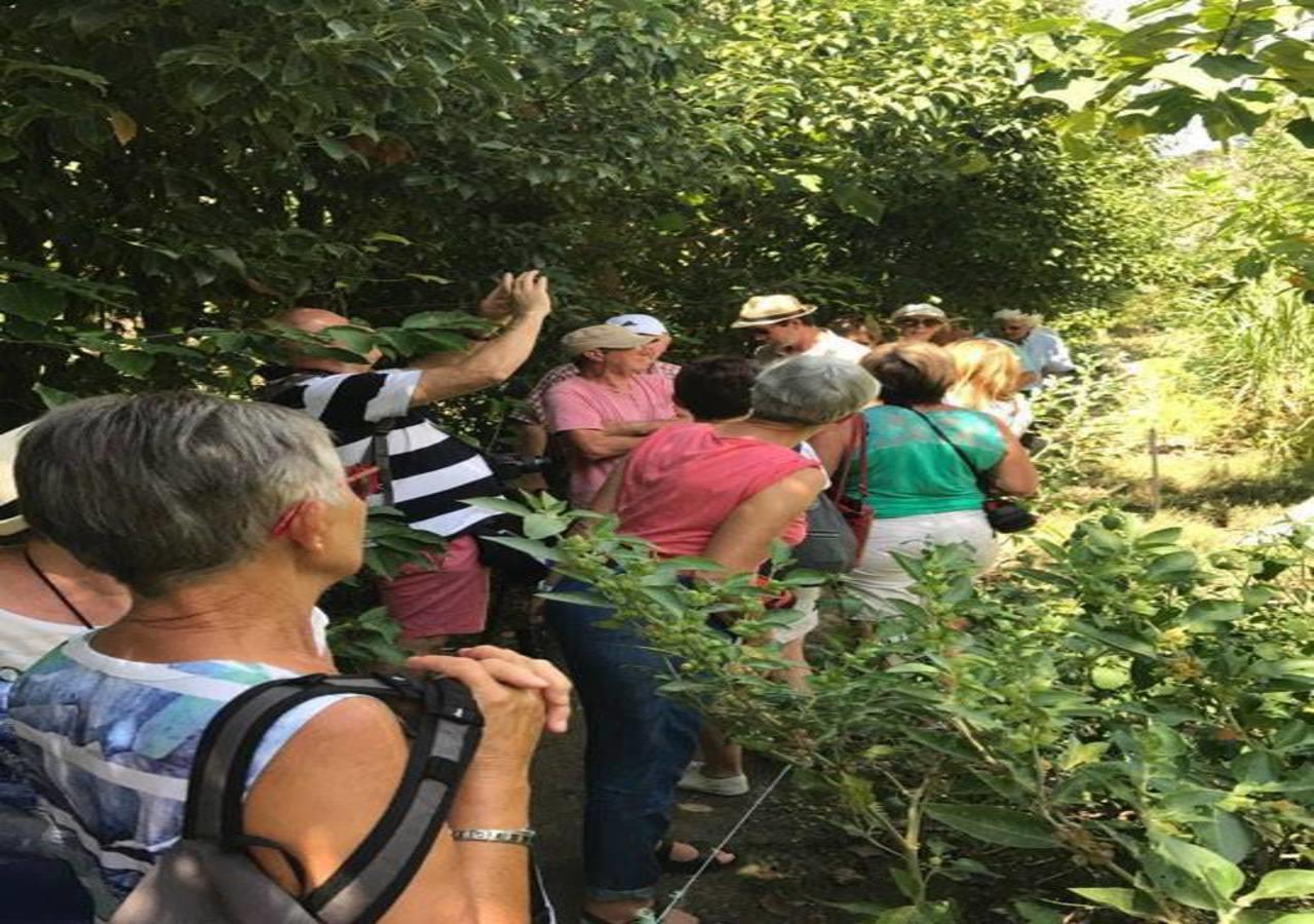 Spílion Green Hotel - Maravel Botanical Garden מראה חיצוני תמונה