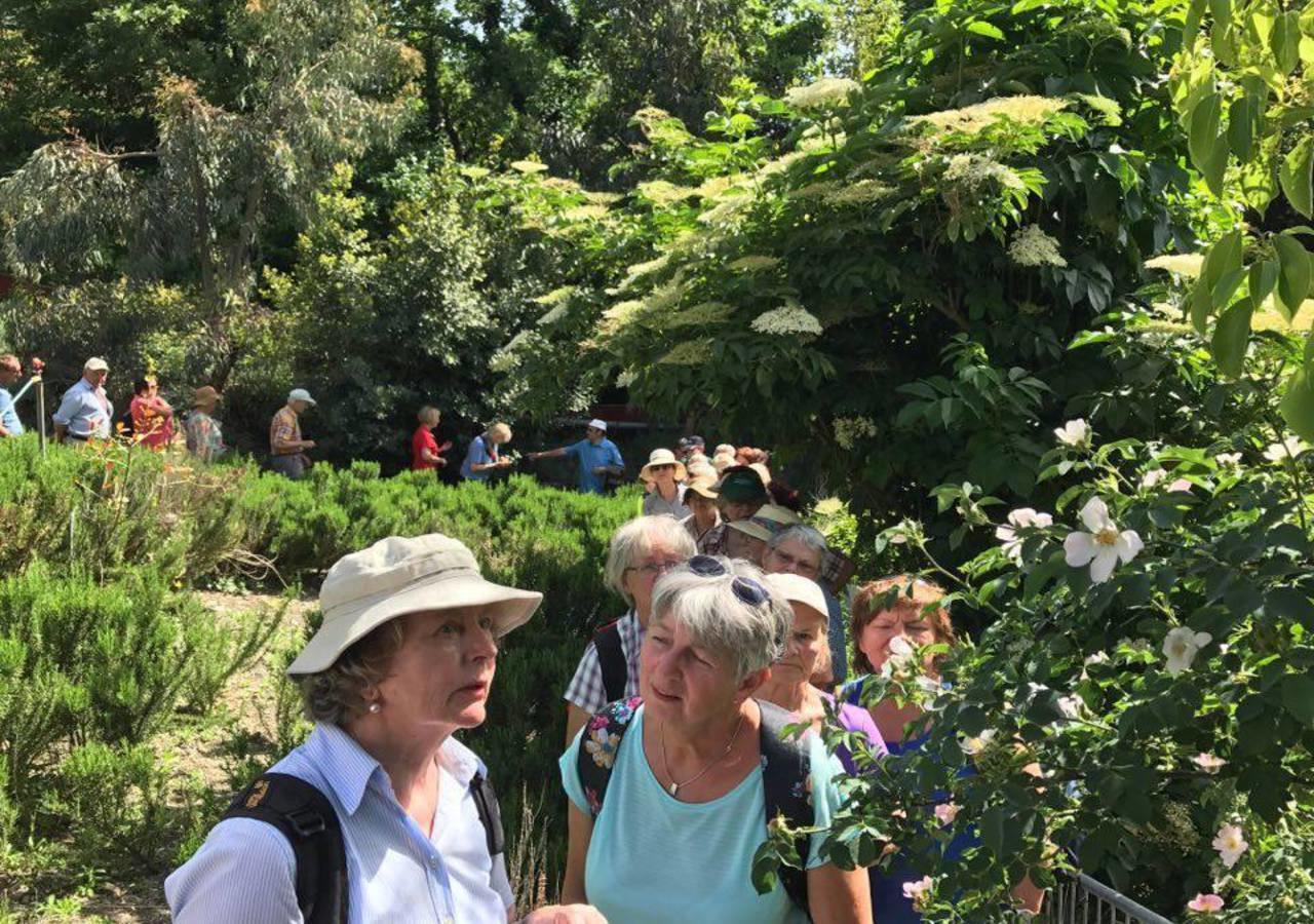 Spílion Green Hotel - Maravel Botanical Garden מראה חיצוני תמונה